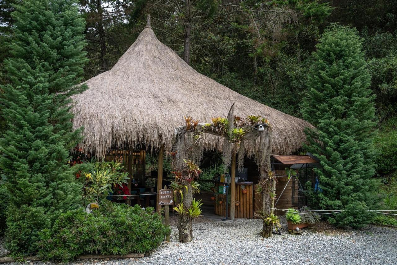 Bubblesky Glamping 40 Min From Medellin Hotel El Retiro  Eksteriør billede