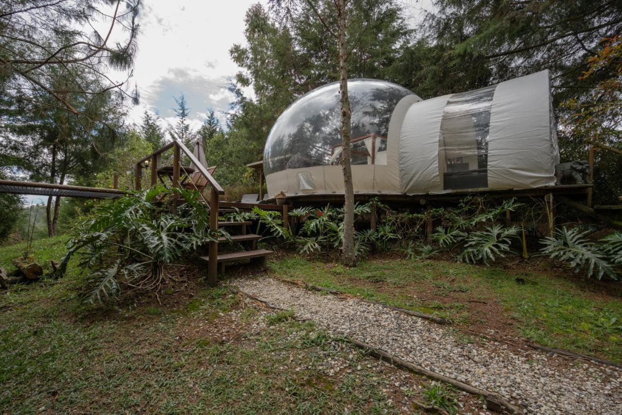Bubblesky Glamping 40 Min From Medellin Hotel El Retiro  Eksteriør billede