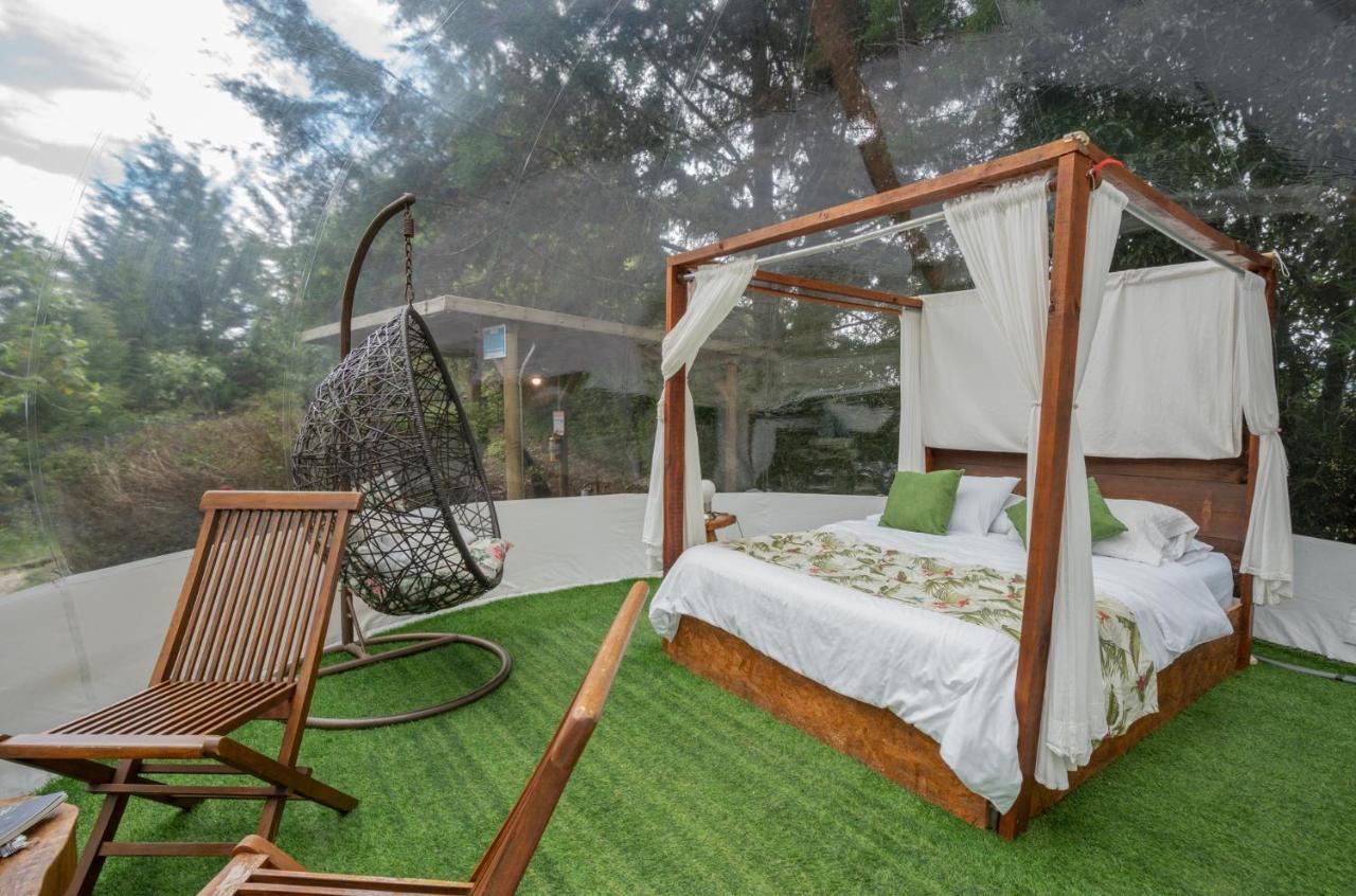 Bubblesky Glamping 40 Min From Medellin Hotel El Retiro  Eksteriør billede