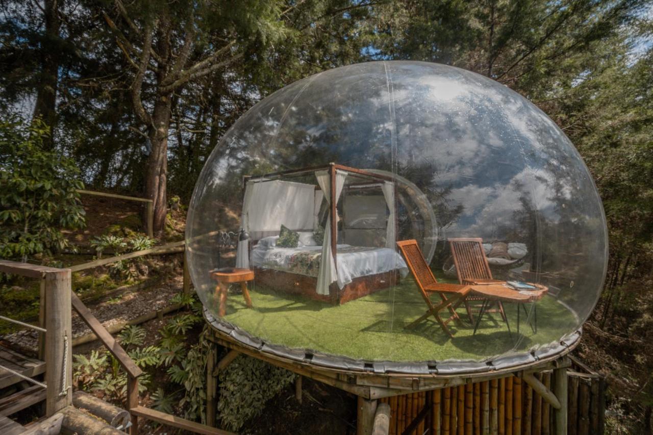 Bubblesky Glamping 40 Min From Medellin Hotel El Retiro  Eksteriør billede