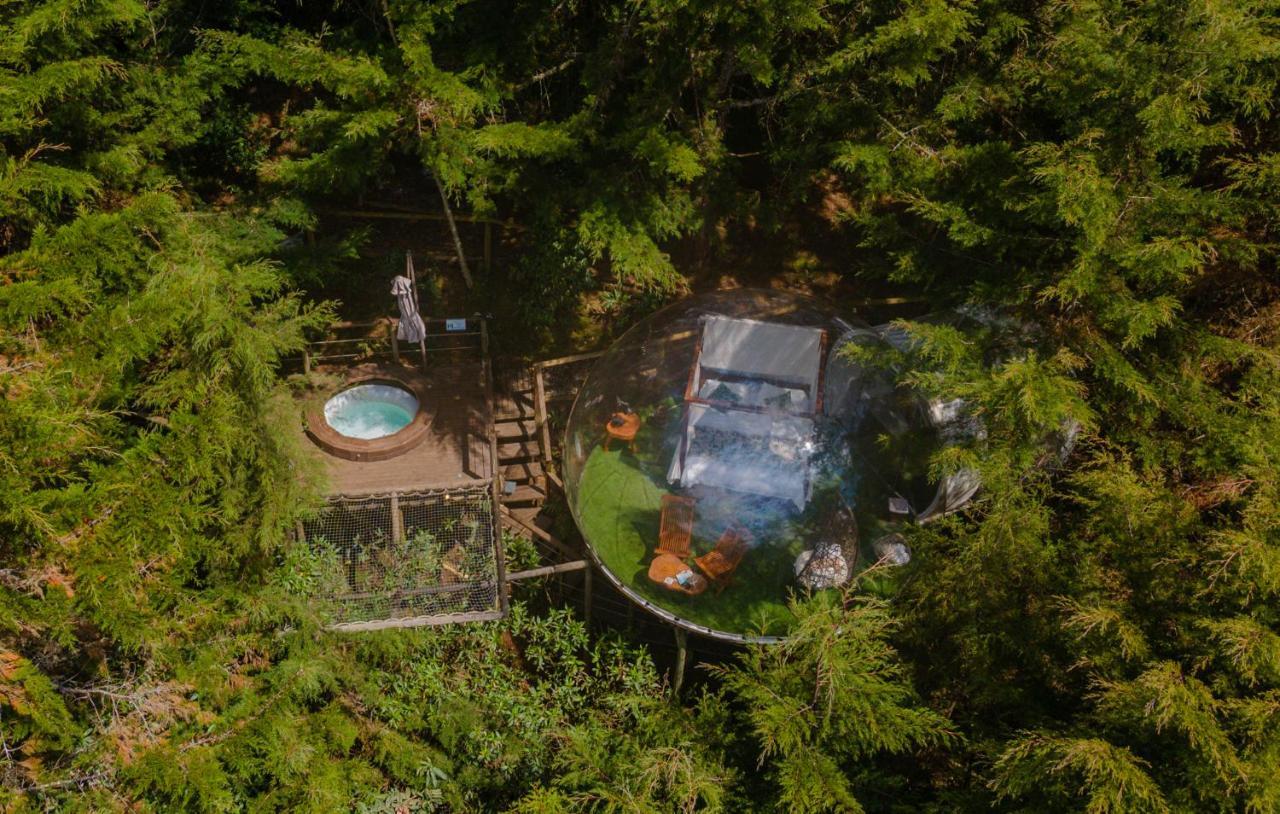 Bubblesky Glamping 40 Min From Medellin Hotel El Retiro  Eksteriør billede