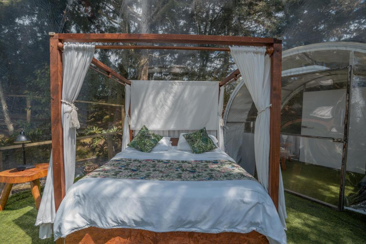 Bubblesky Glamping 40 Min From Medellin Hotel El Retiro  Eksteriør billede