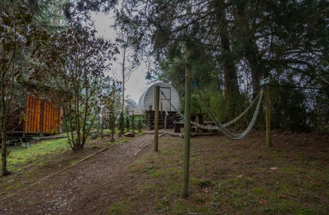 Bubblesky Glamping 40 Min From Medellin Hotel El Retiro  Eksteriør billede